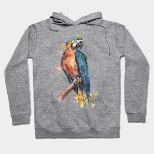 Macaw Parrot Hoodie